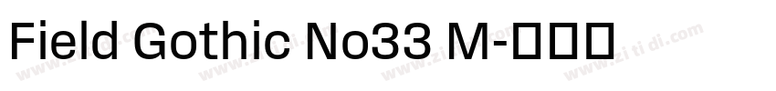 Field Gothic No33 M字体转换